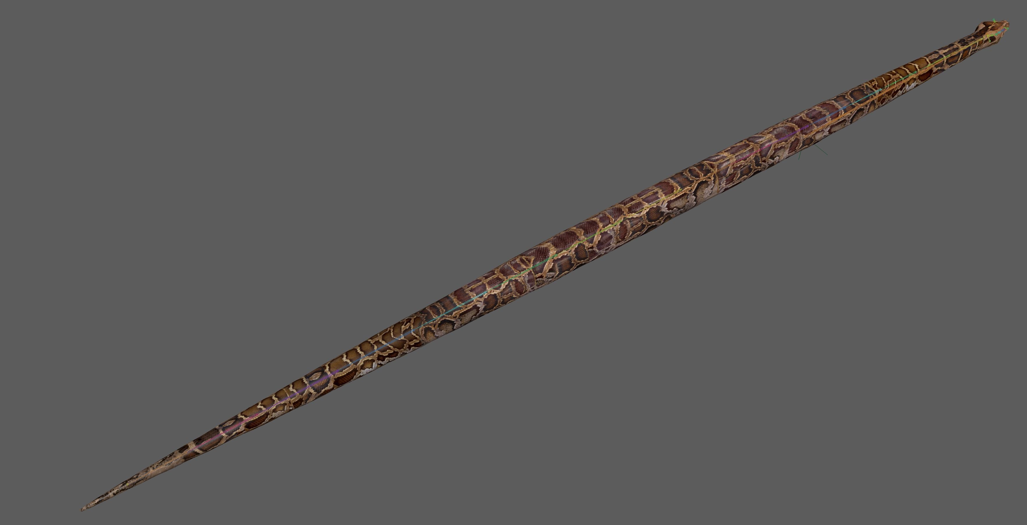 Burmese Python Snake 3D model_17