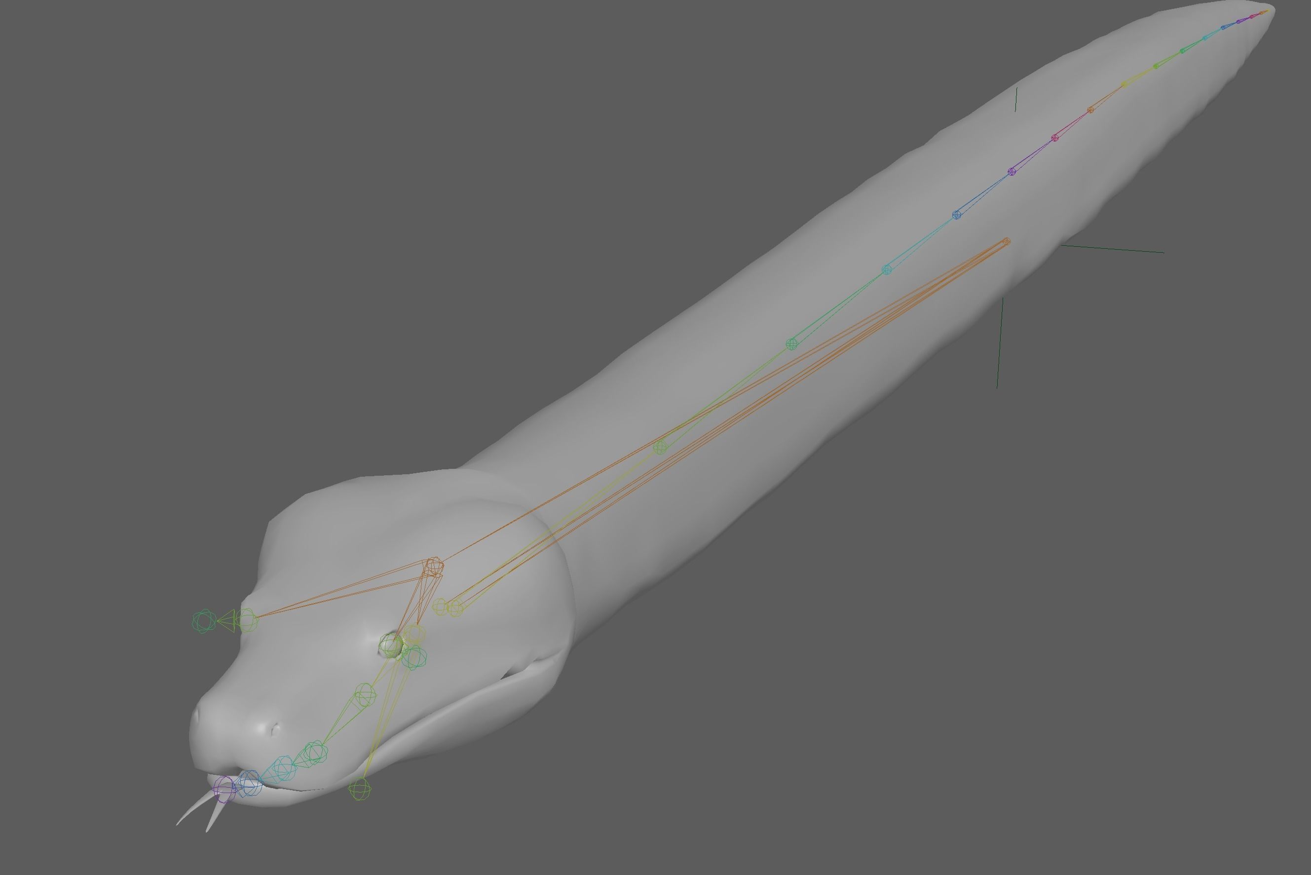 Burmese Python Snake 3D model_13