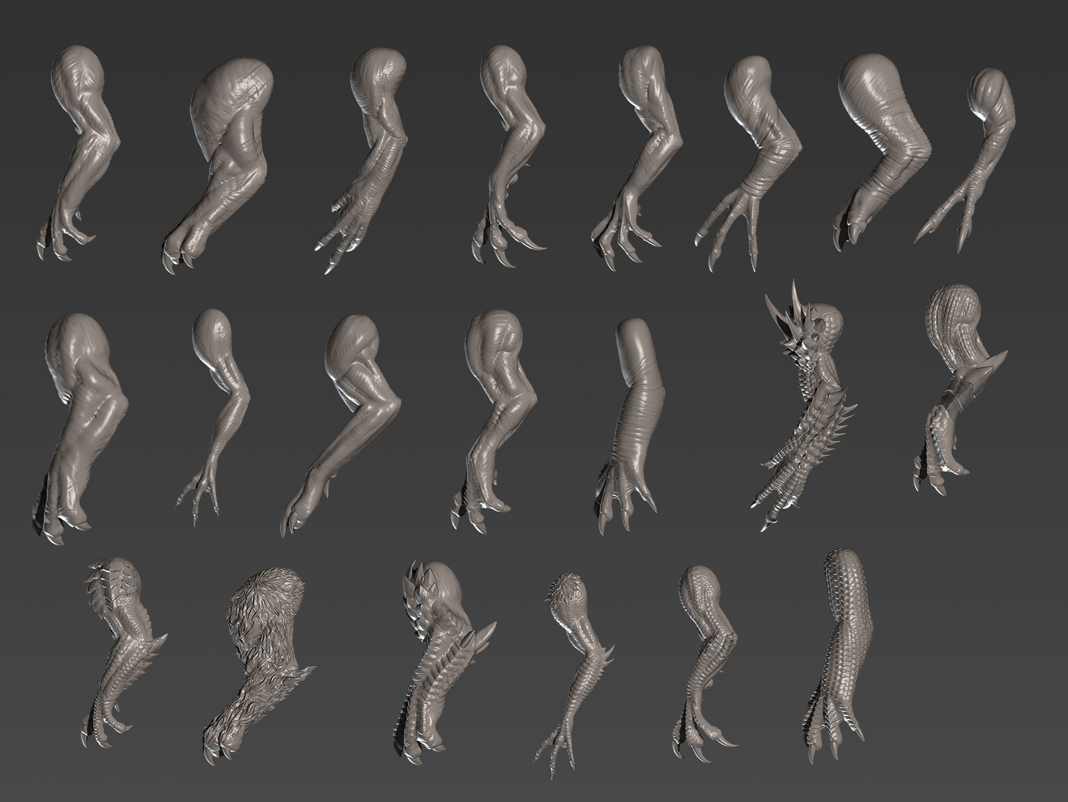 21 arms and claws for Dragons and other creatures 3D model_1