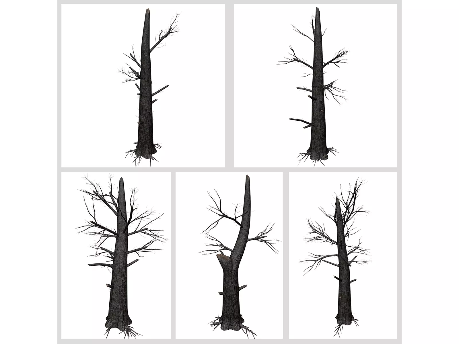 Burnt Trees 3D Model Collection_0