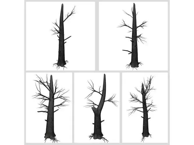 Burnt Trees 3D Model Collection
