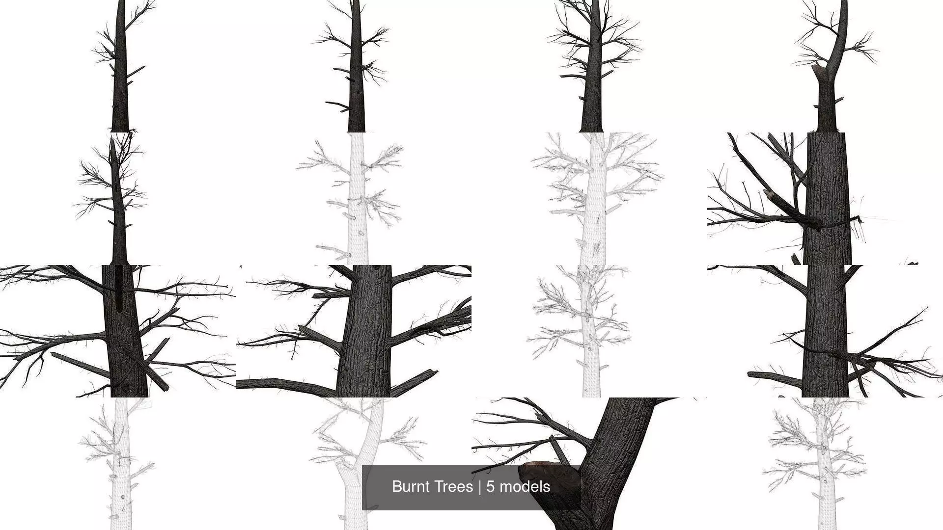 Burnt Trees 3D Model Collection_1