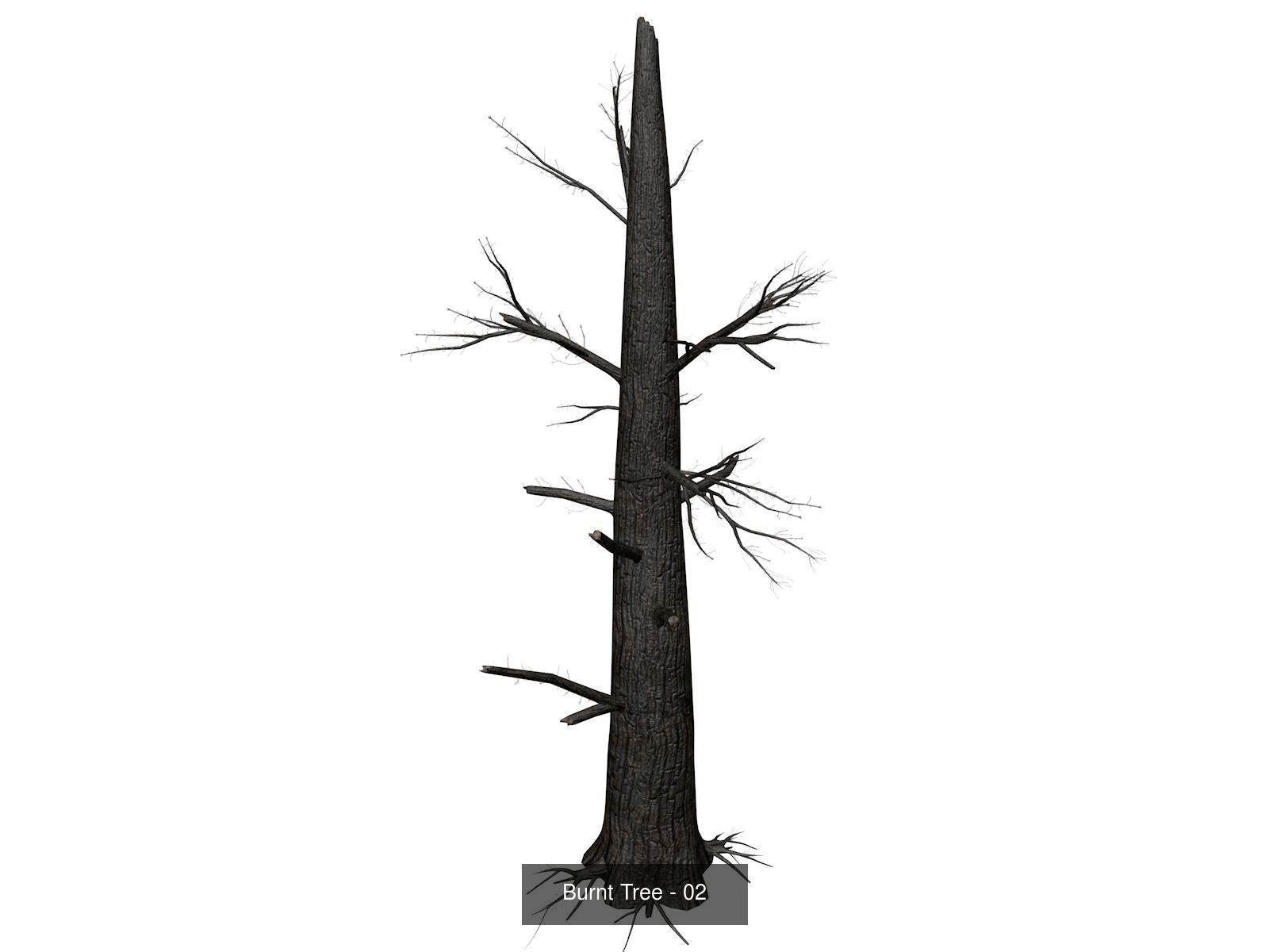 Burnt Trees 3D Model Collection_3