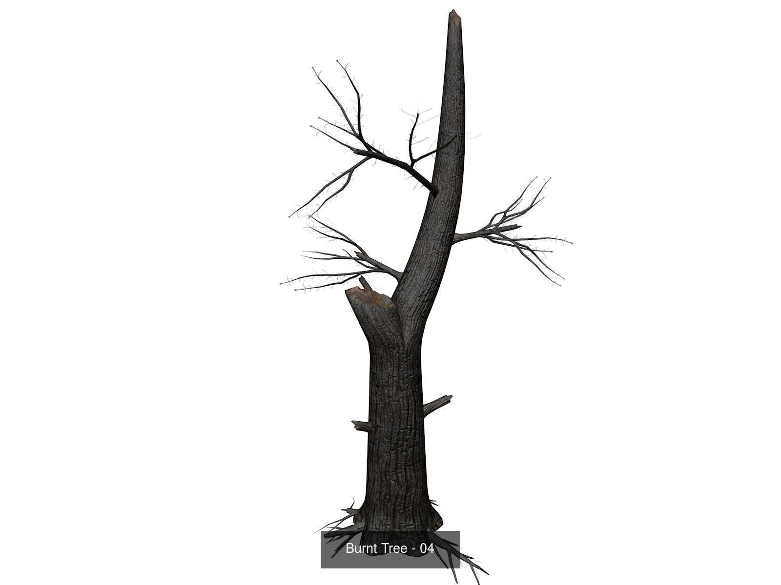 Burnt Trees 3D Model Collection_5