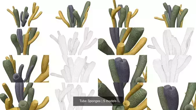 Tube Sponges