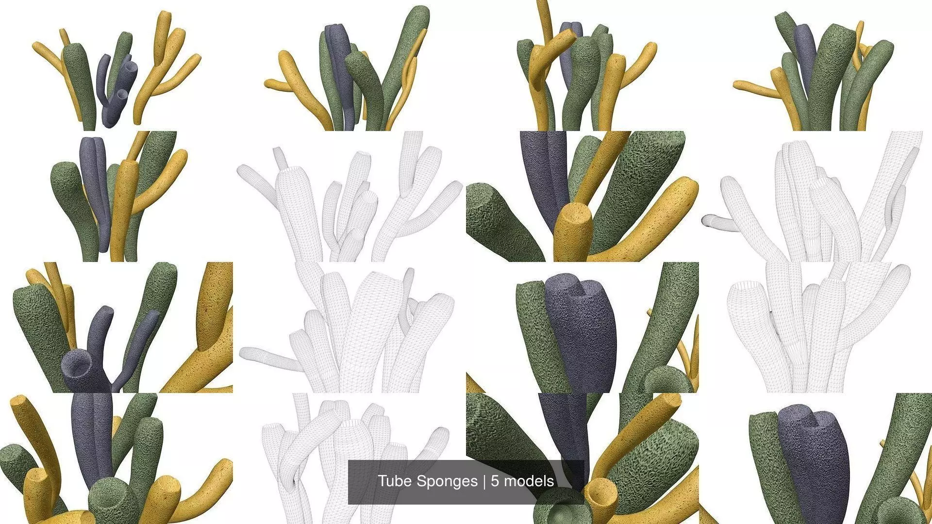 Tube Sponges 3D Model Collection_1