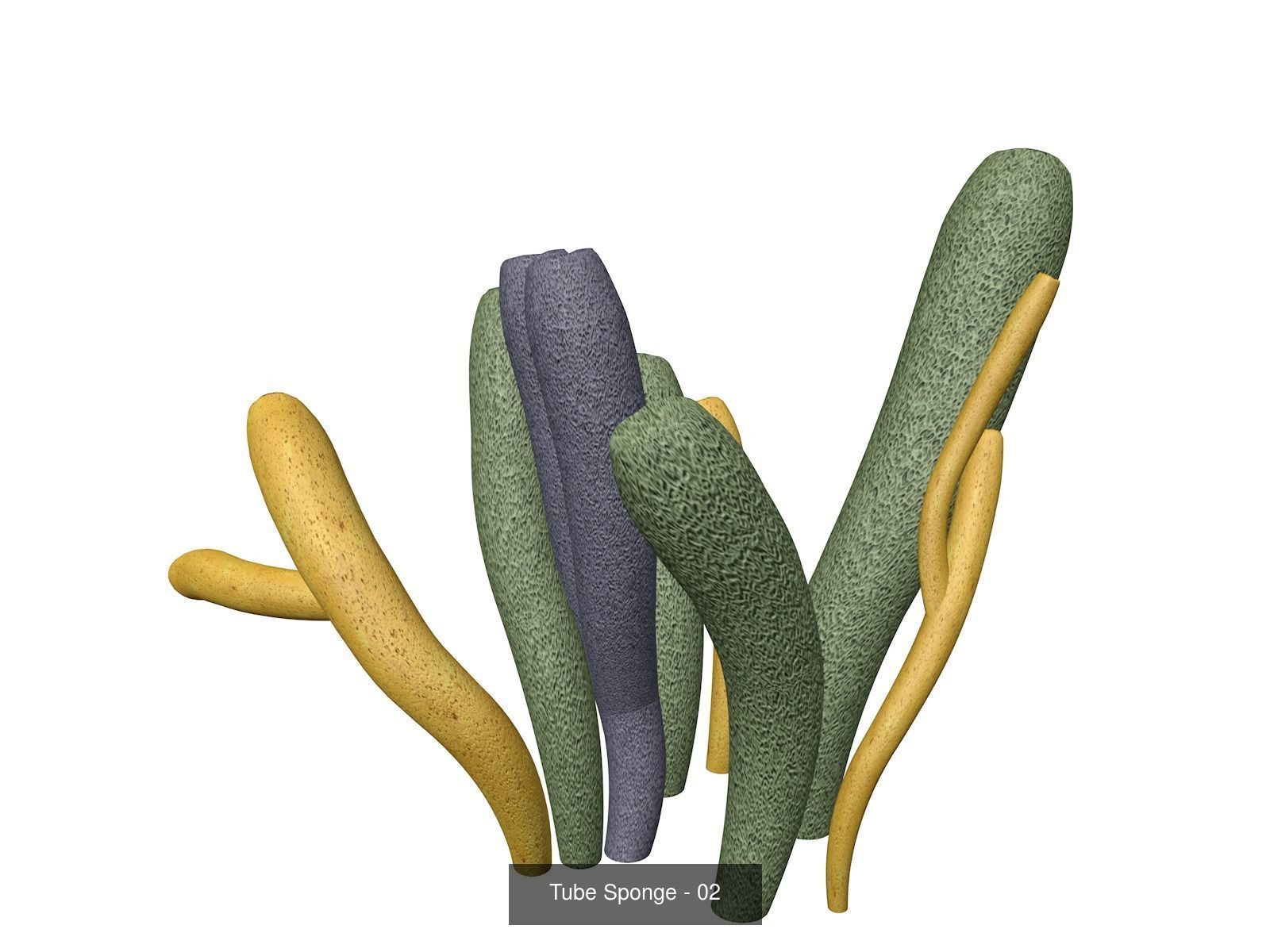 Tube Sponges 3D Model Collection_3