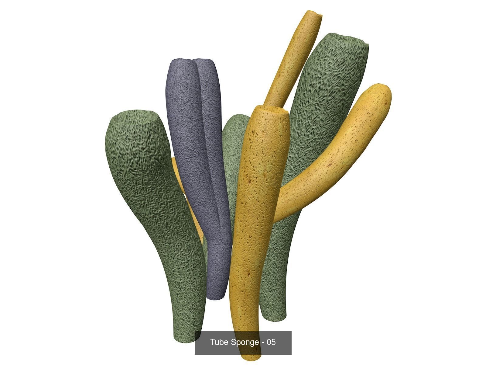 Tube Sponges 3D Model Collection_6