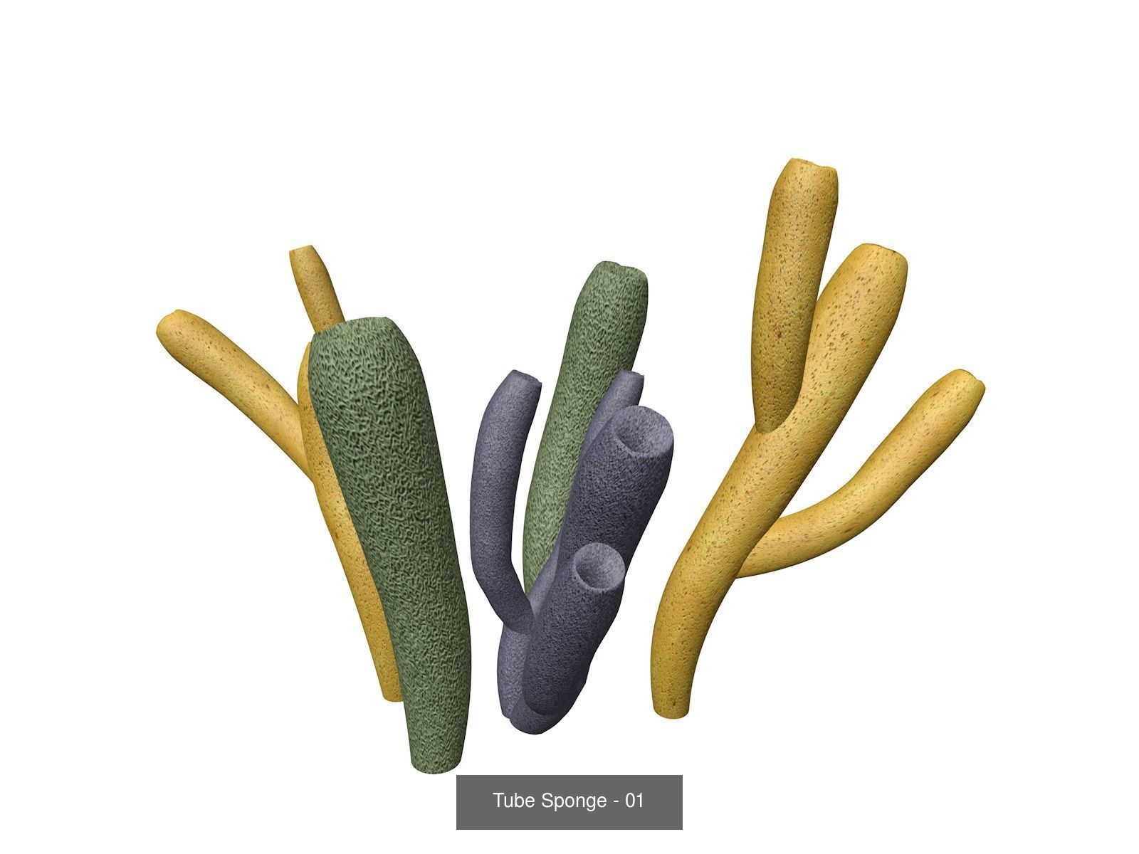 Tube Sponges 3D Model Collection_2