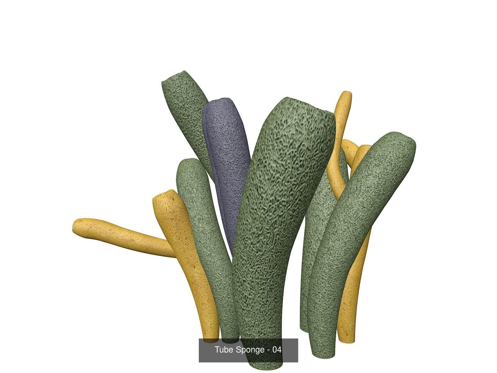 Tube Sponges 3D Model Collection_5