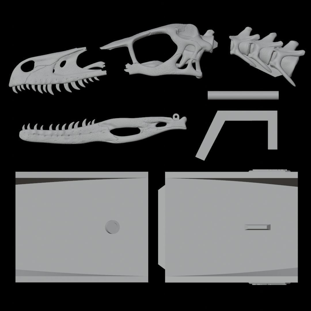 Life-Sized 3D Printable Velociraptor Mongoliensis Fossil Skull 3D print model_5