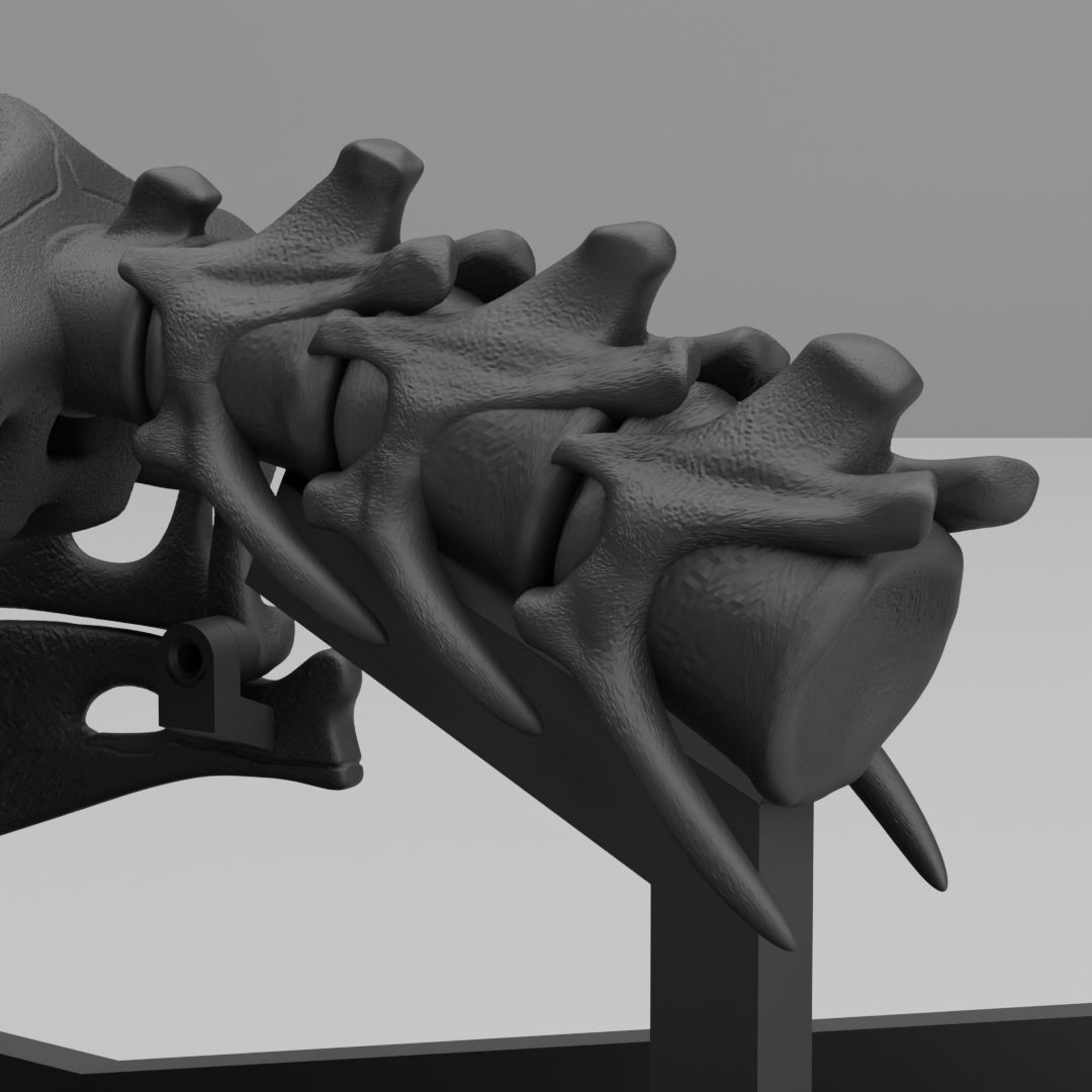 Life-Sized 3D Printable Velociraptor Mongoliensis Fossil Skull 3D print model_2