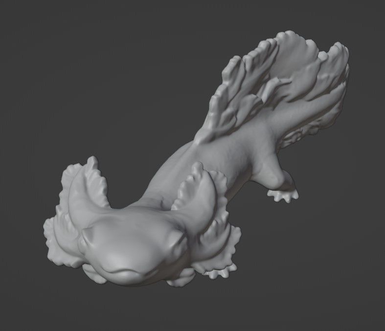 AXOLOTL AMBYSTOMA 3D print model_2