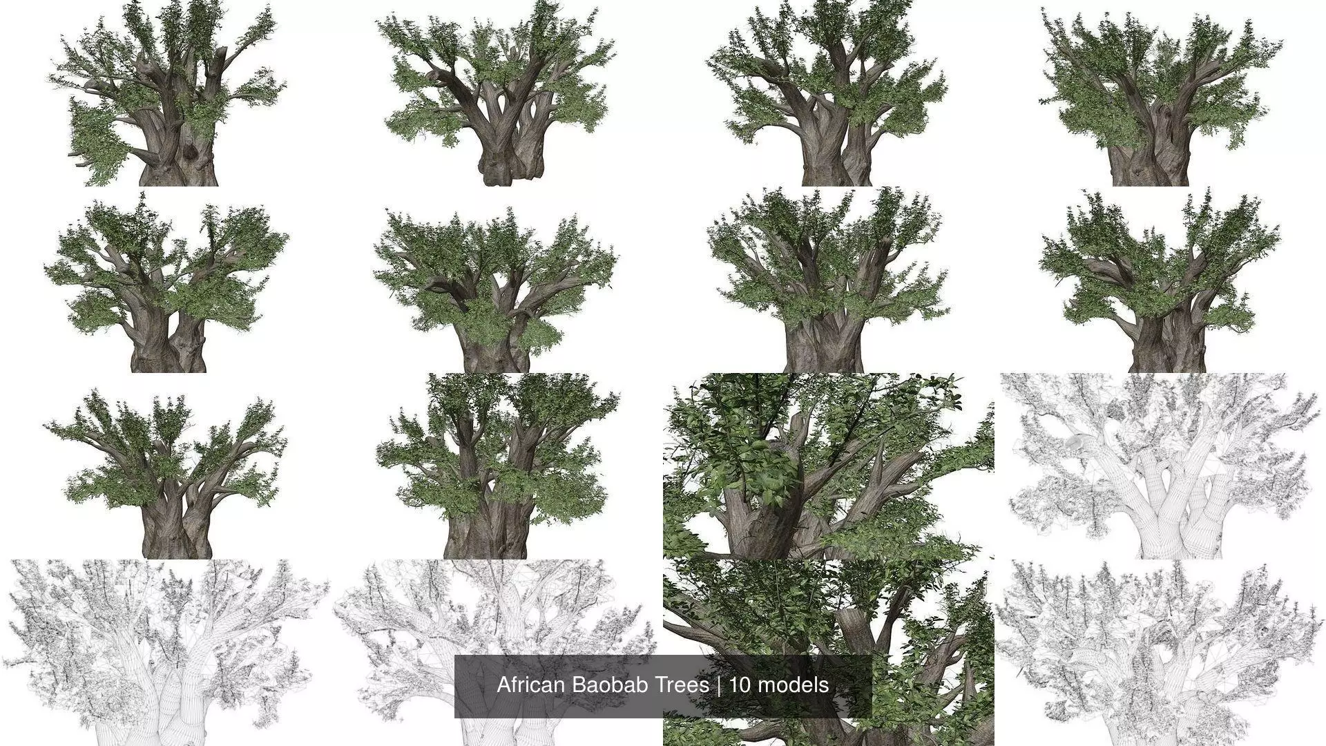 African Baobab Trees 3D Model Collection_1