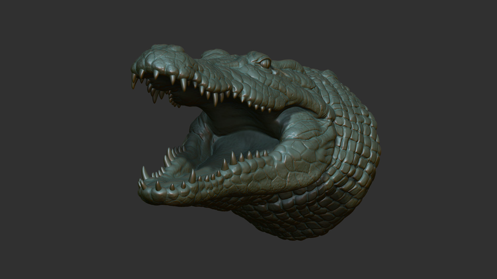 Crocodile head 3D print model_7