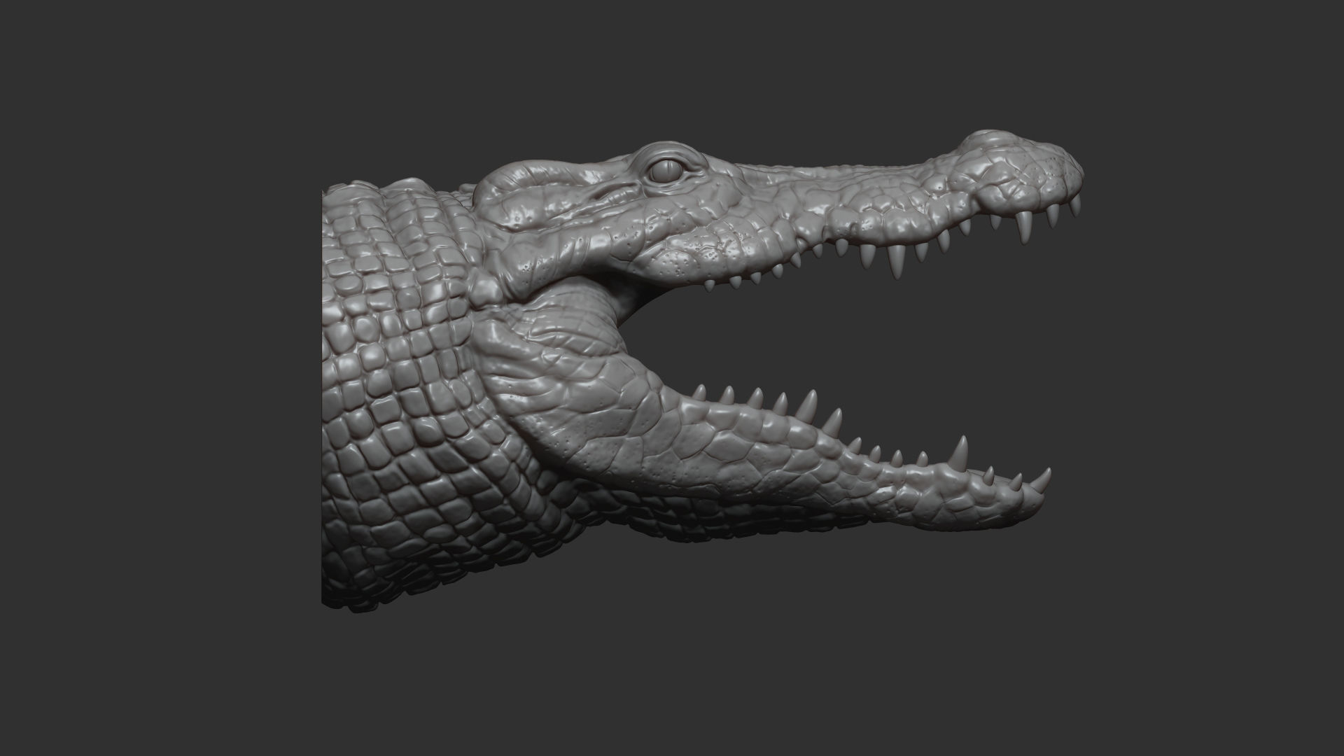 Crocodile head 3D print model_3