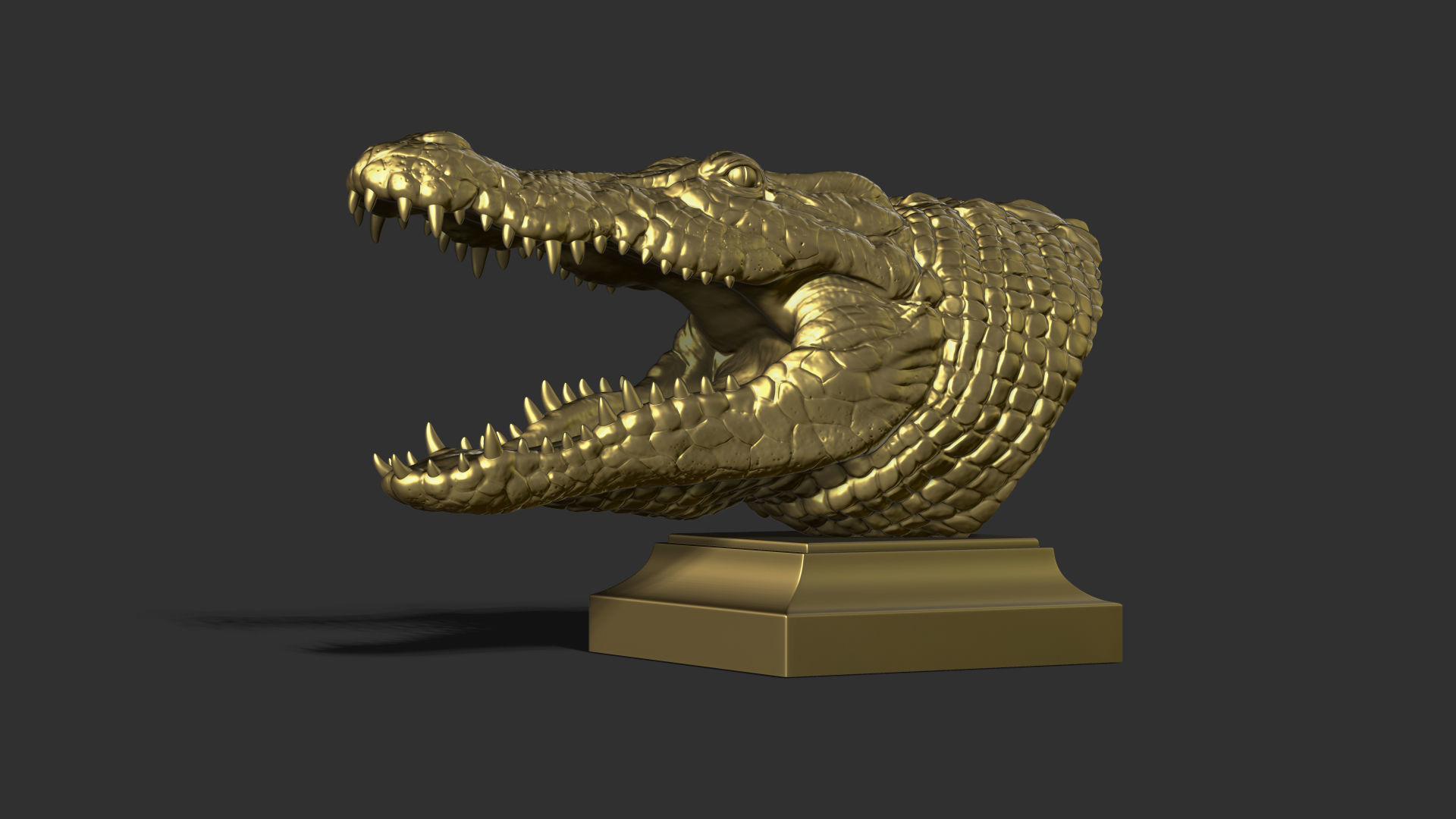 Crocodile head 3D print model_20