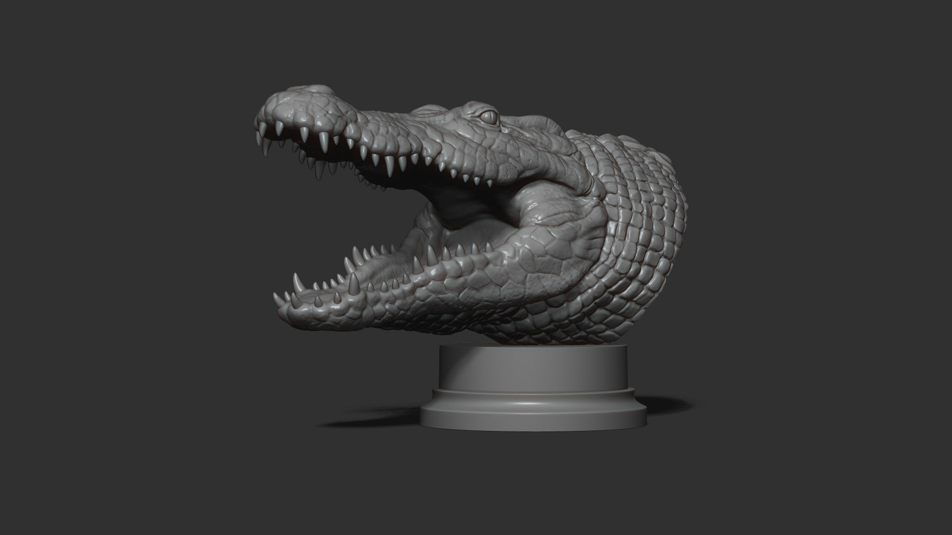 Crocodile head 3D print model_13
