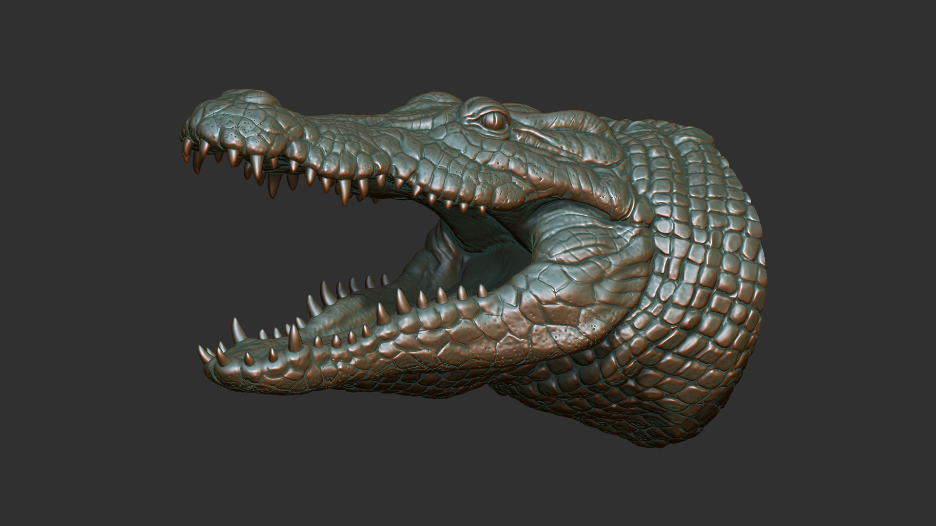 Crocodile head 3D print model_6