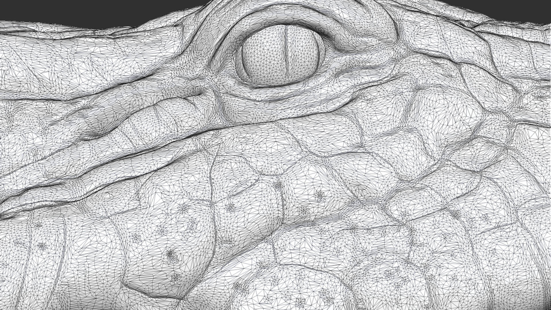 Crocodile head 3D print model_25
