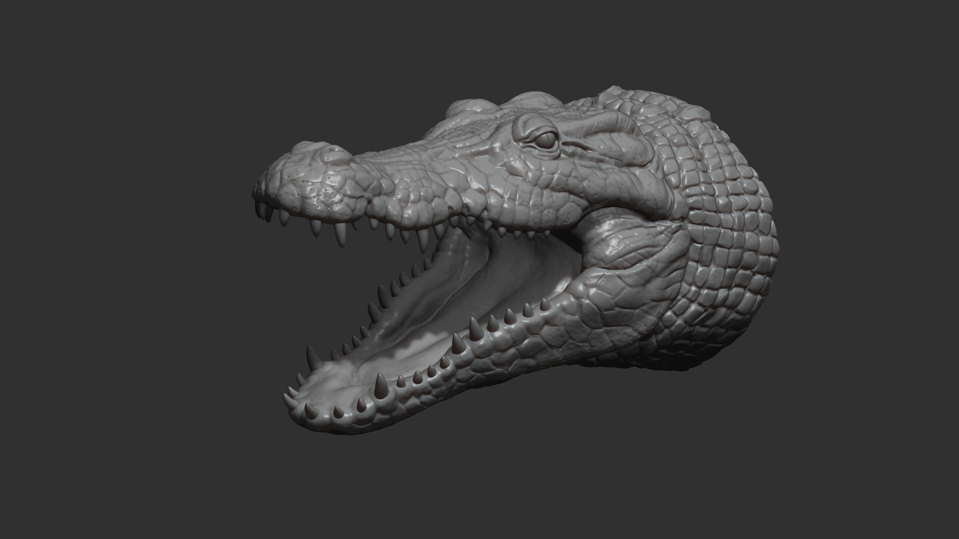 Crocodile head 3D print model_1