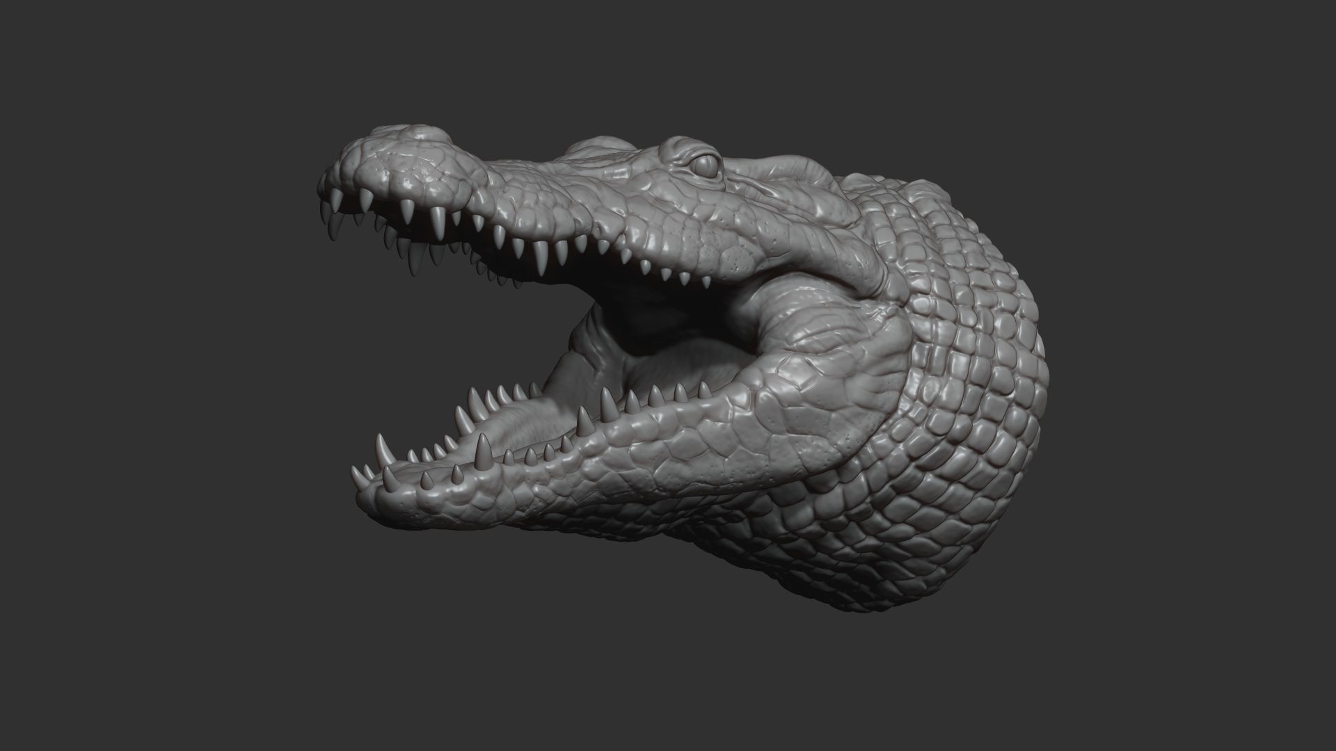 Crocodile head 3D print model_4