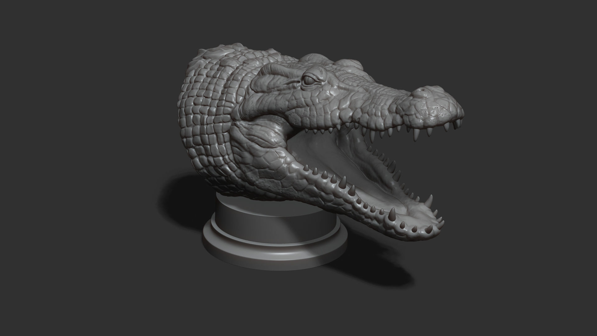 Crocodile head 3D print model_14