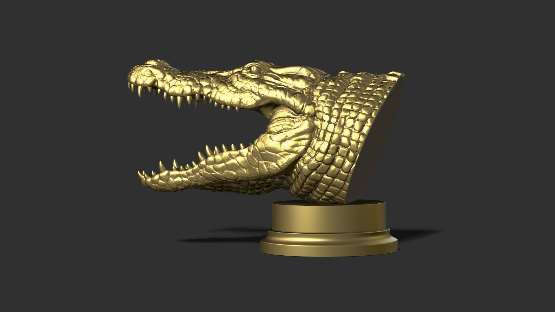 Crocodile head 3D print model_24