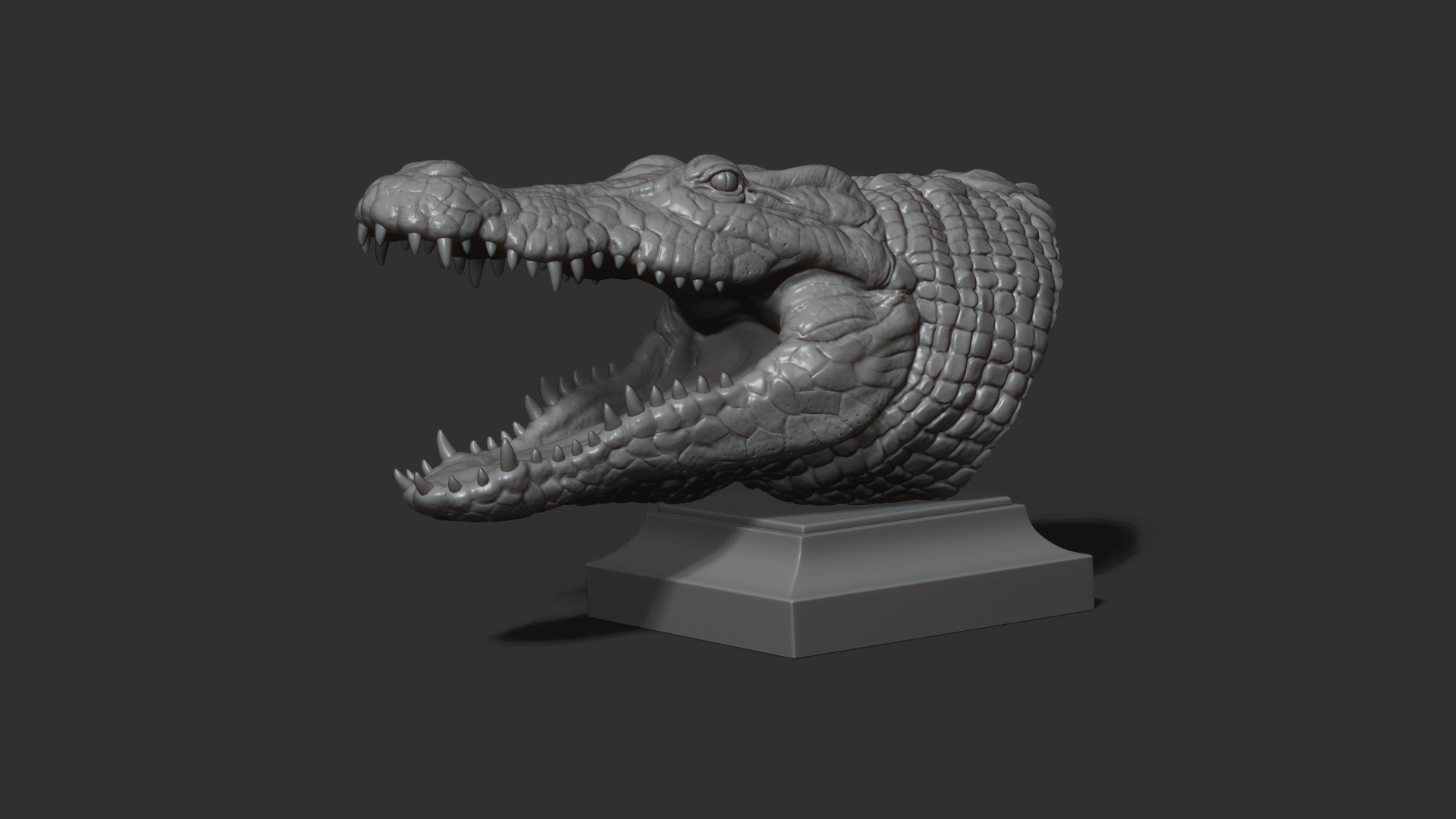 Crocodile head 3D print model_11