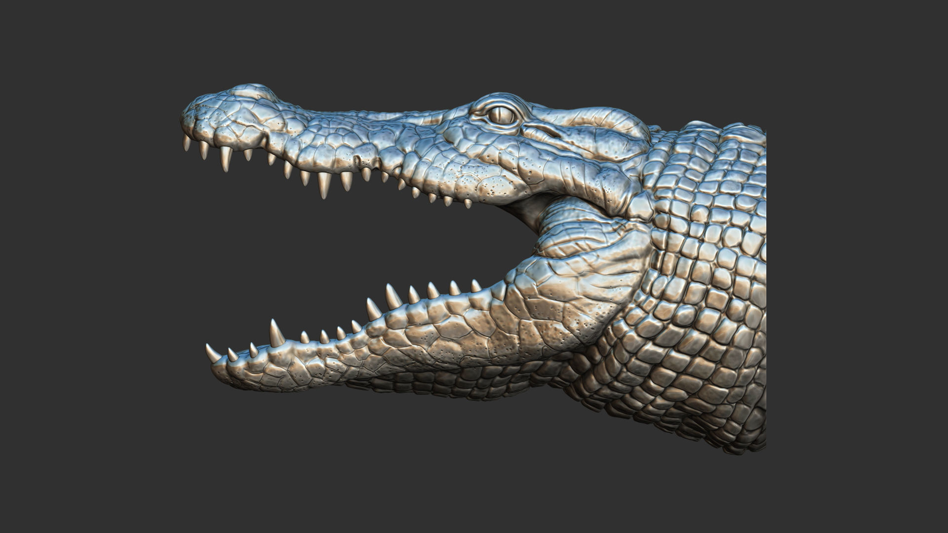 Crocodile head 3D print model_8