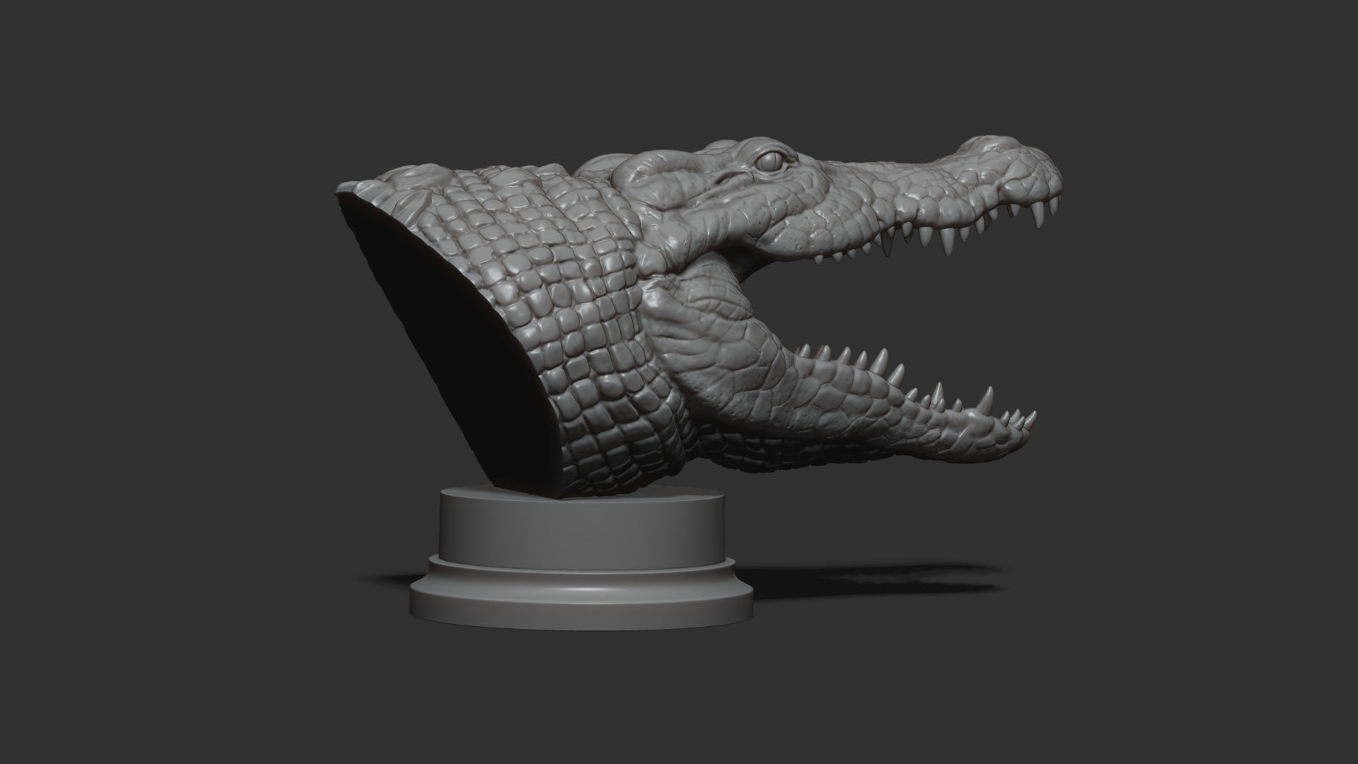 Crocodile head 3D print model_12
