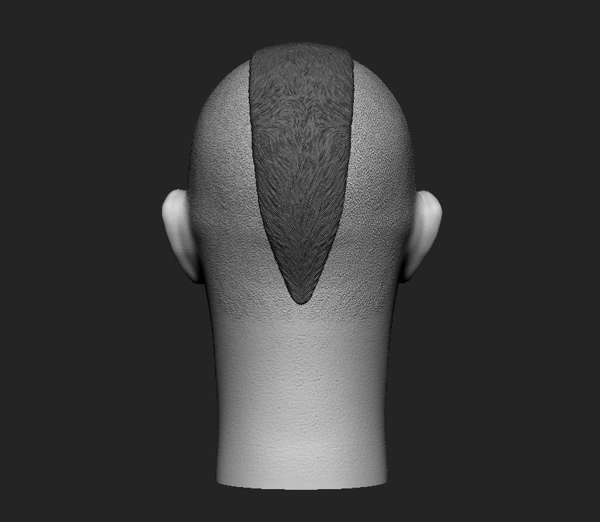 Chuck Liddell The Iceman headsculpt 3D print model_16
