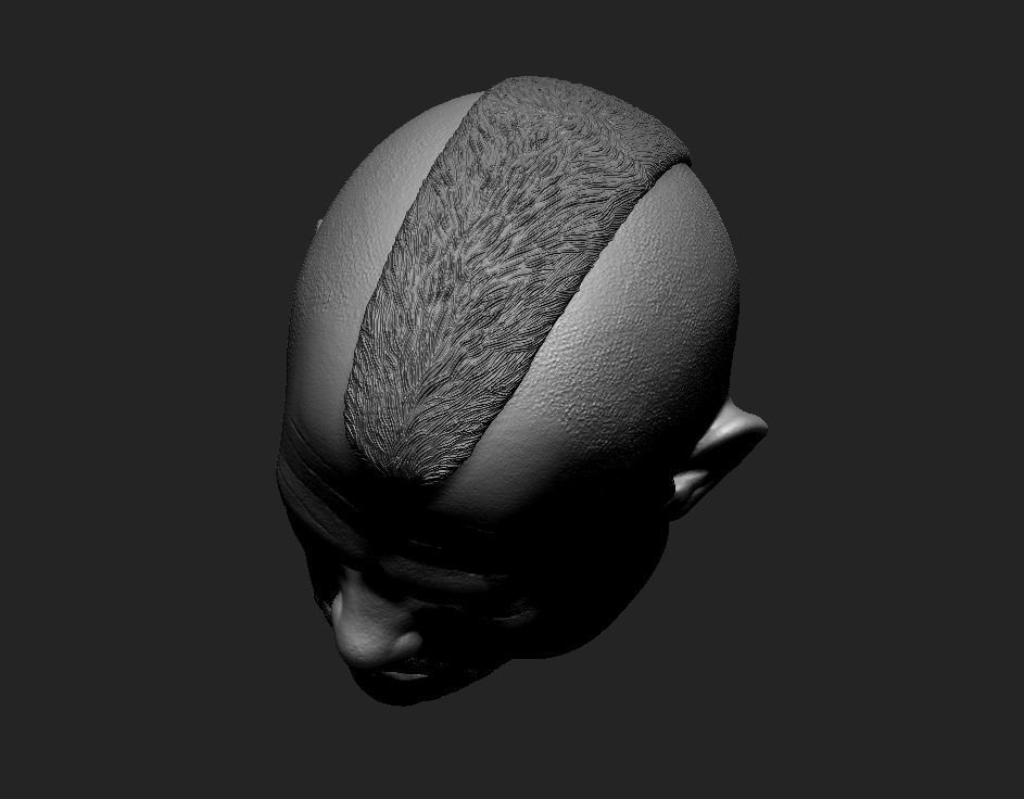 Chuck Liddell The Iceman headsculpt 3D print model_14