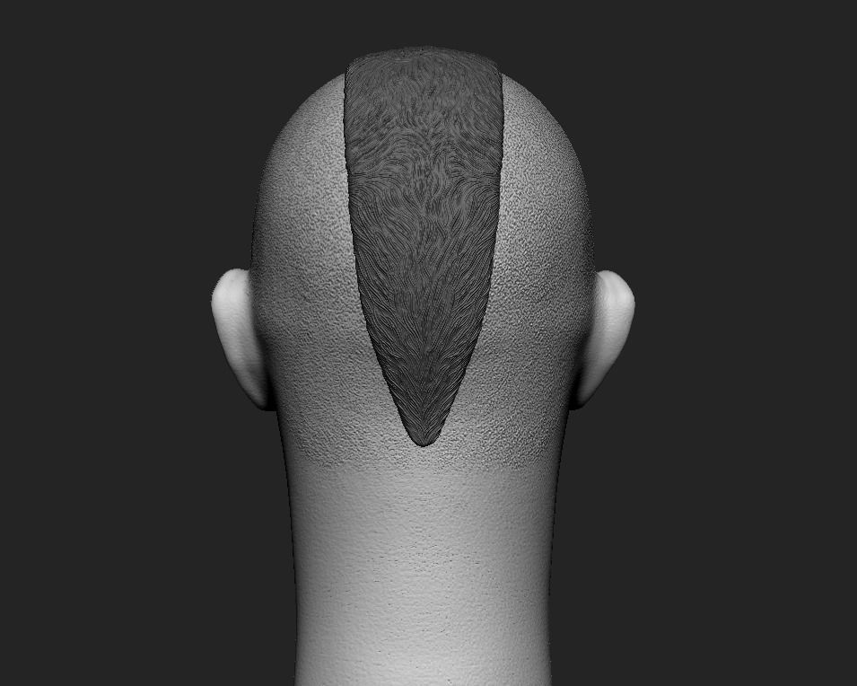 Chuck Liddell The Iceman headsculpt 3D print model_7