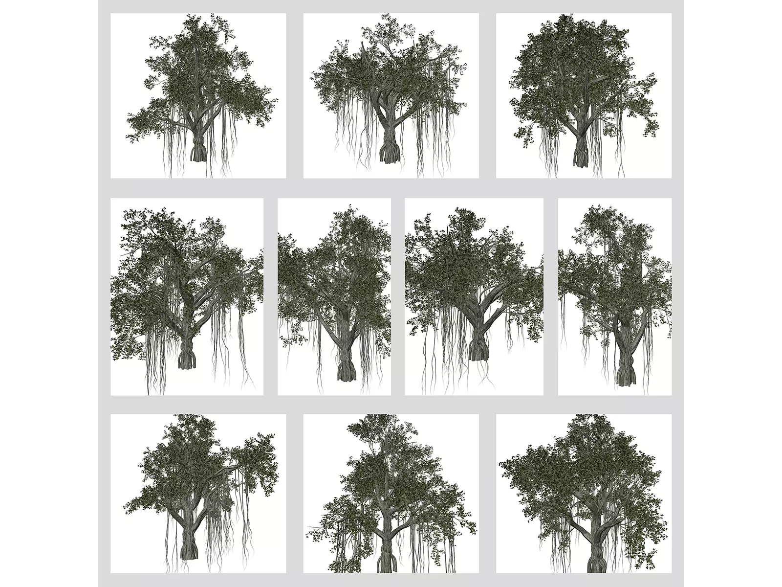Chinese Banyan Trees 3D Model Collection_0