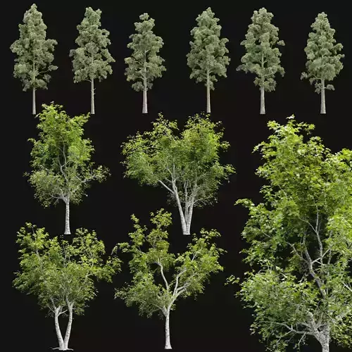 Trees collection vol 250 