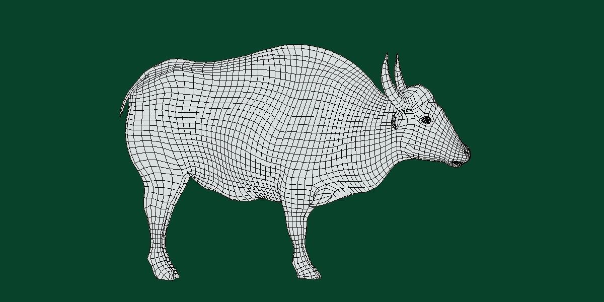 Malayan Gaur Indian Bison Low-poly 3D model_9