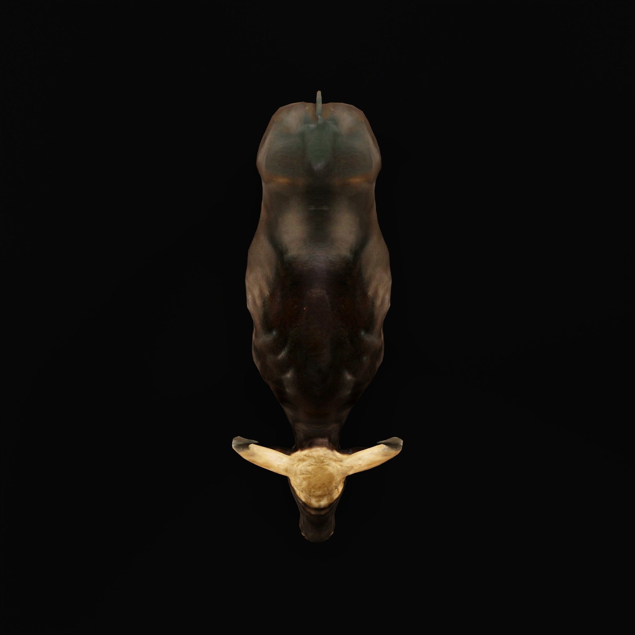 Malayan Gaur Indian Bison Low-poly 3D model_5