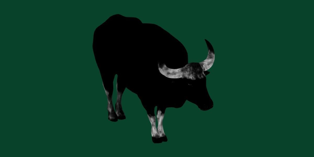 Malayan Gaur Indian Bison Low-poly 3D model_21