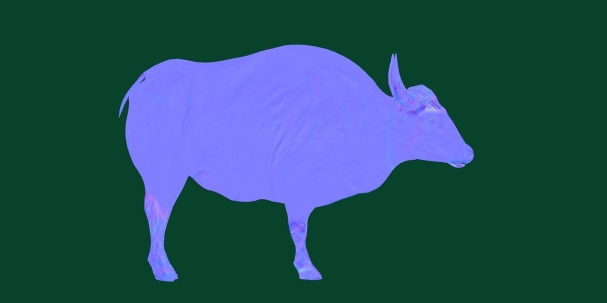 Malayan Gaur Indian Bison Low-poly 3D model_19