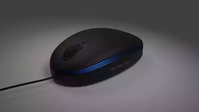 computer mouse 