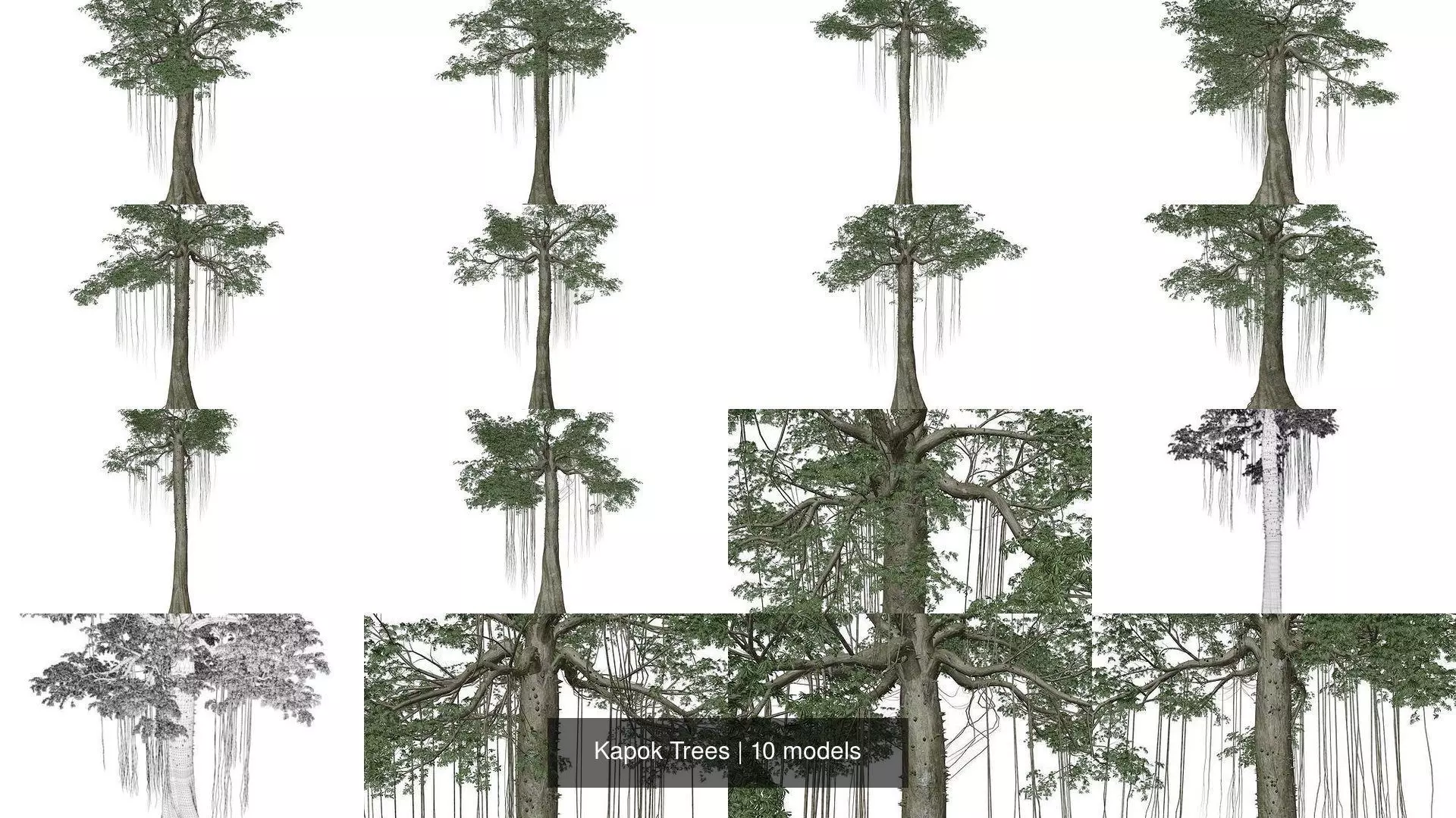 Kapok Trees 3D Model Collection_1
