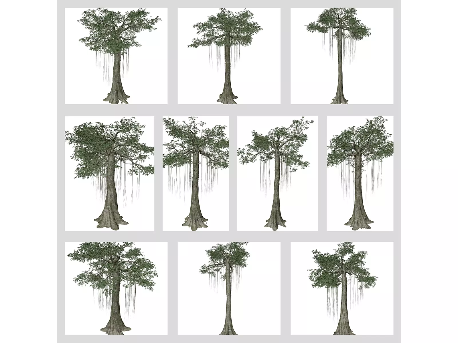 Kapok Trees 3D Model Collection_0