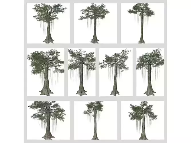 Kapok Trees 3D Model Collection