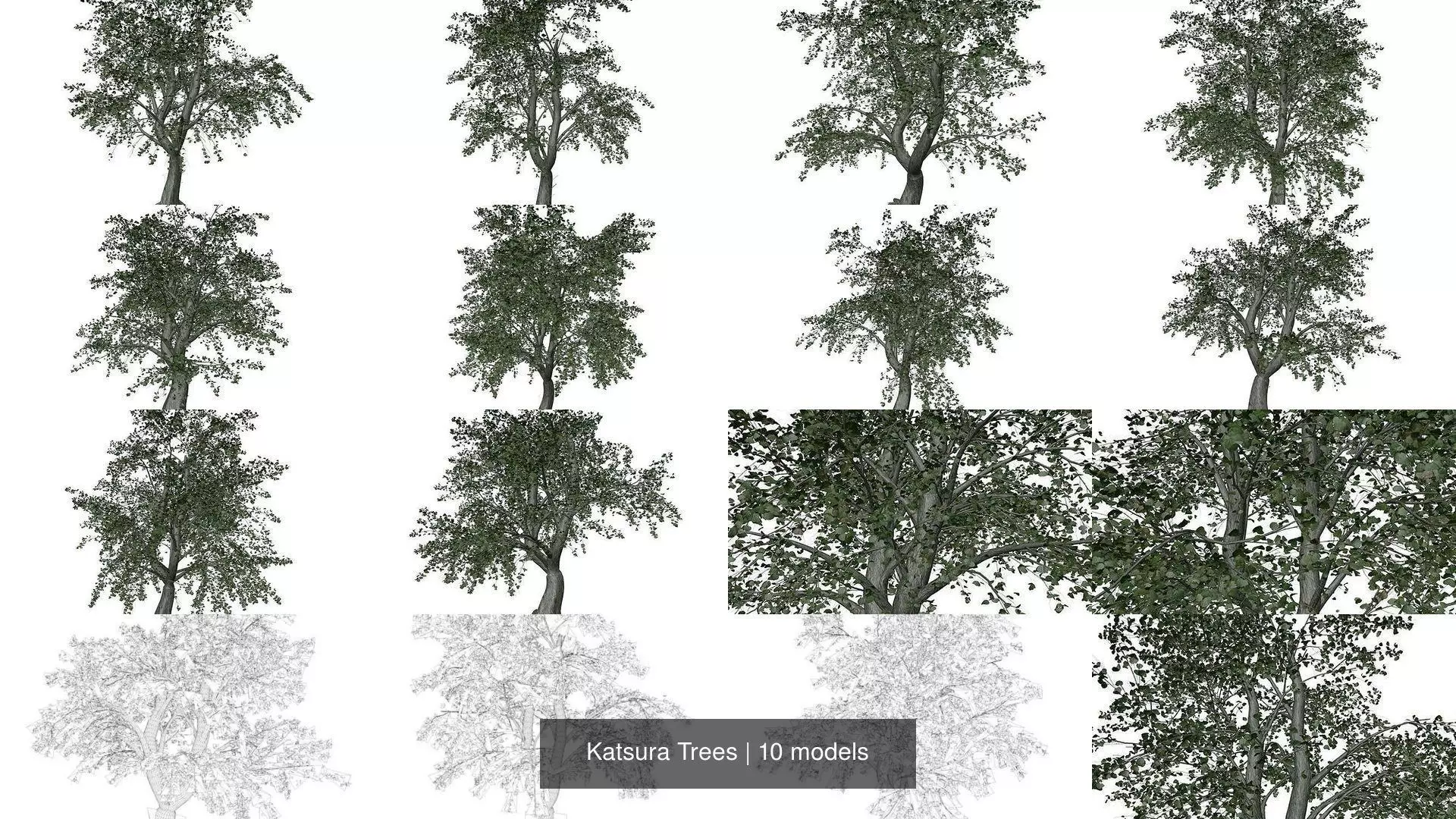 Katsura Trees 3D Model Collection_1