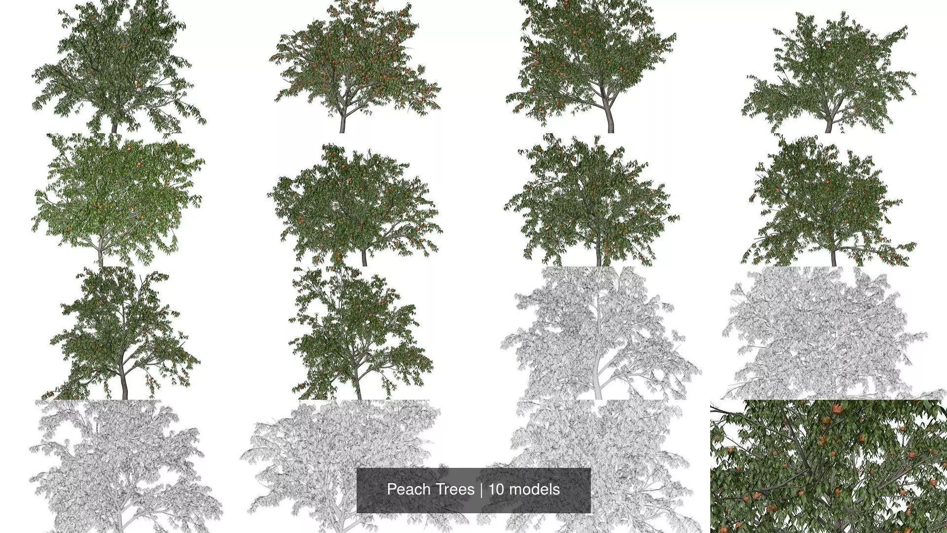 Peach Trees 3D Model Collection_1