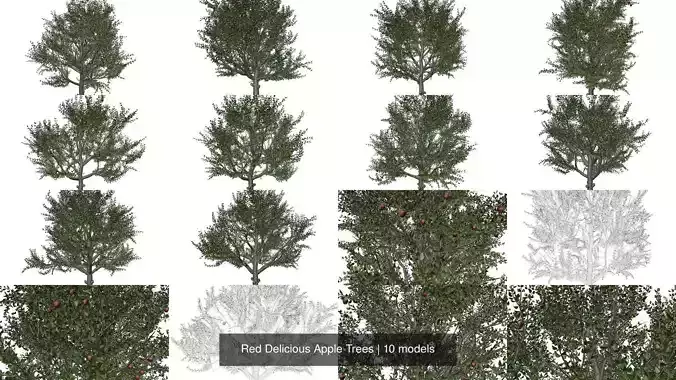 Red Delicious Apple Trees