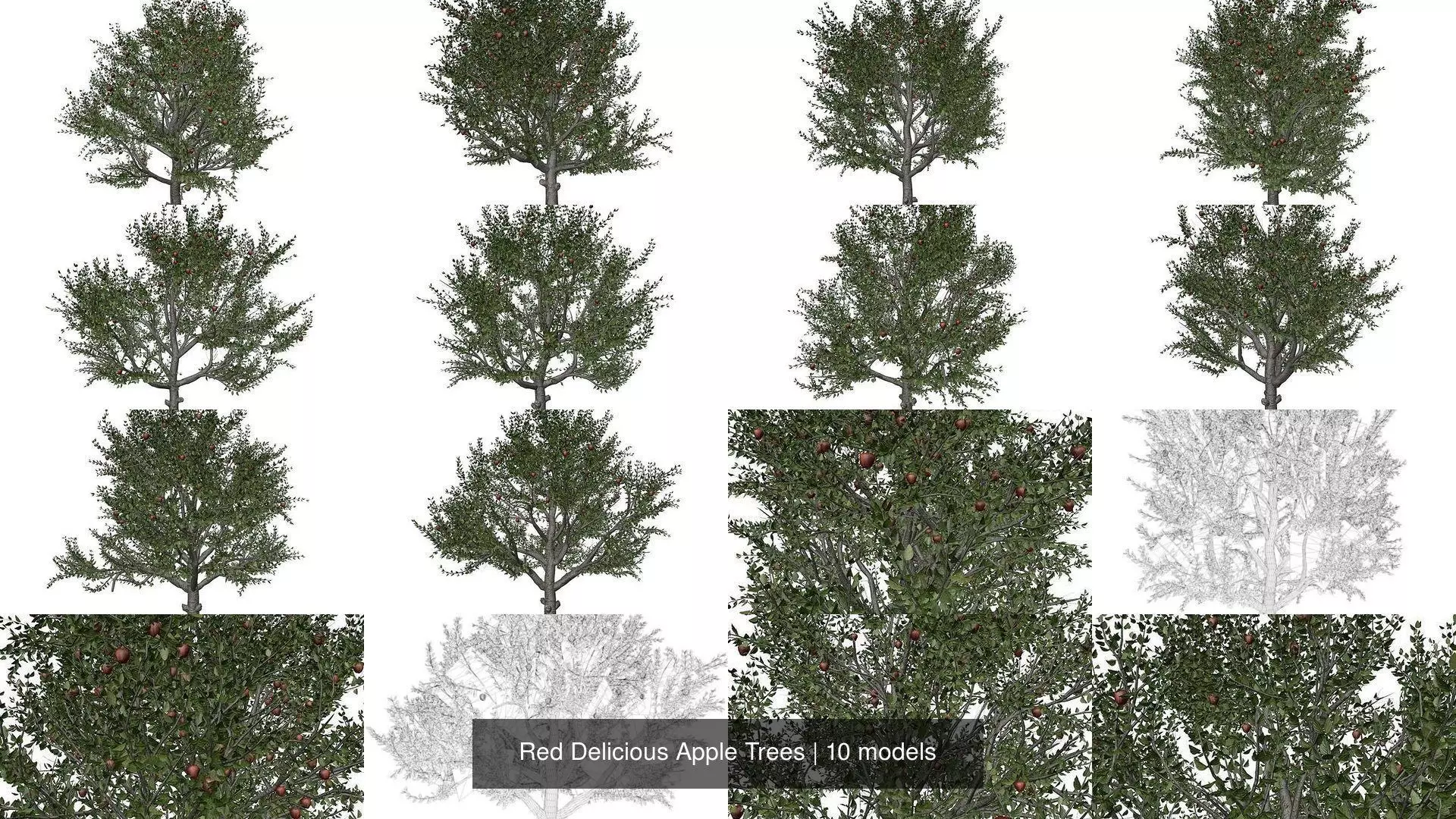 Red Delicious Apple Trees 3D Model Collection_1