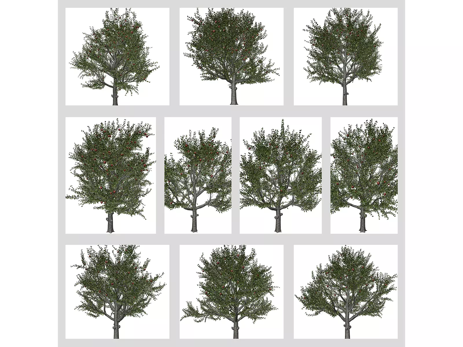 Red Delicious Apple Trees 3D Model Collection_0