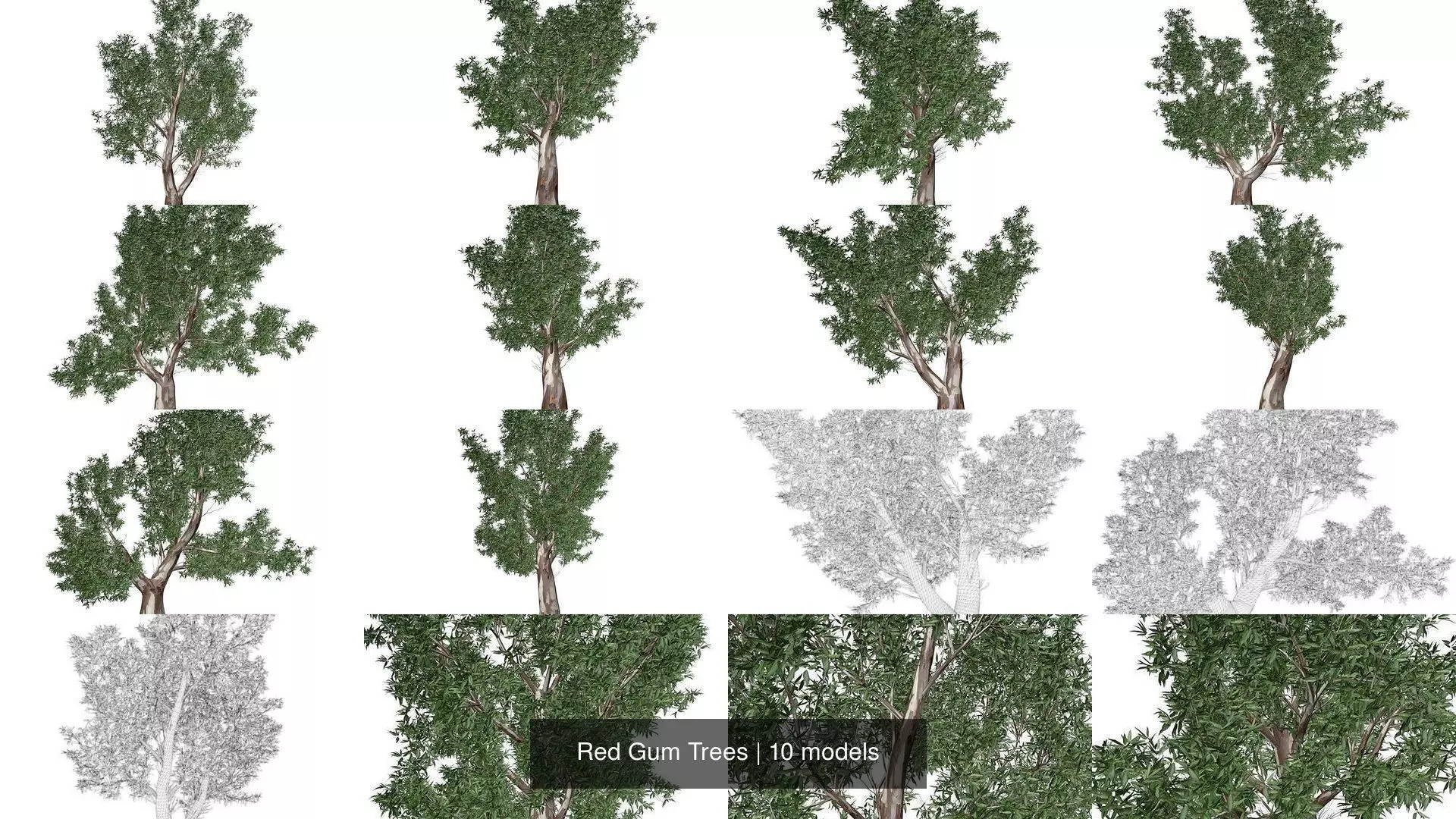 Red Gum Trees 3D Model Collection_1